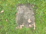 image of grave number 214411